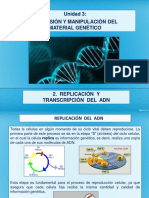 Replicación y Transcripción Del ADN