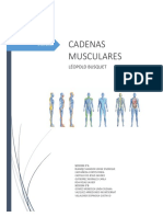 Cadenas Musculares 1