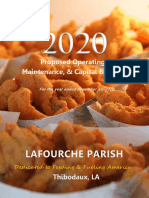 Lafourche 2020 Proposed Budget