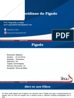 Figado Vesicula 2018 PDF