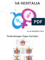 Sistem Genitalia.pdf