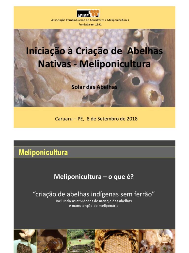 APIME - Associação Pernambucana de Apicultores e Meliponicultores