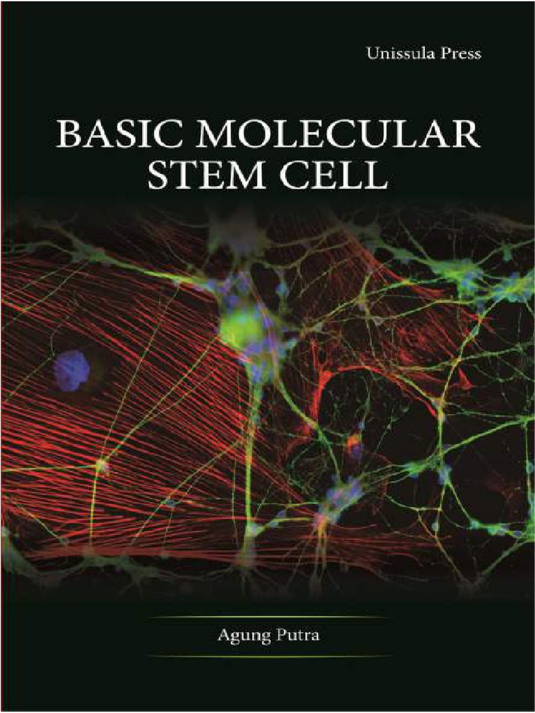 Stem Cells | PDF