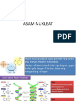 Asam Nukleat