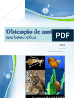 obtenodematria-seresheterotrficos