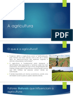 A agricultura: definição, fatores e tipos