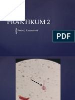 Praktikum 2