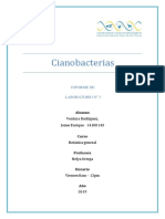 3. Cianobacterias