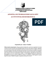 Teorias_Basicas acupunturra bioenergetica.pdf