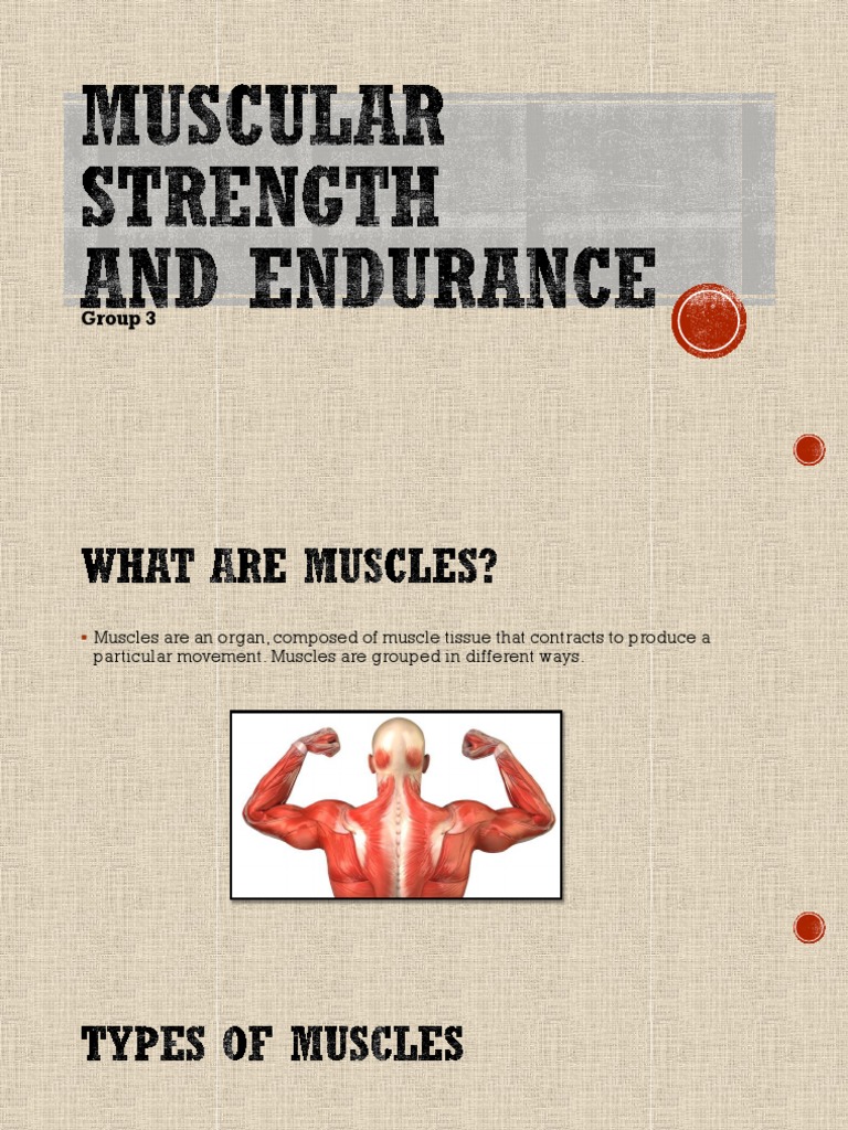 Muscle Types and Strength Training | PDF | Muscle | Strength Training