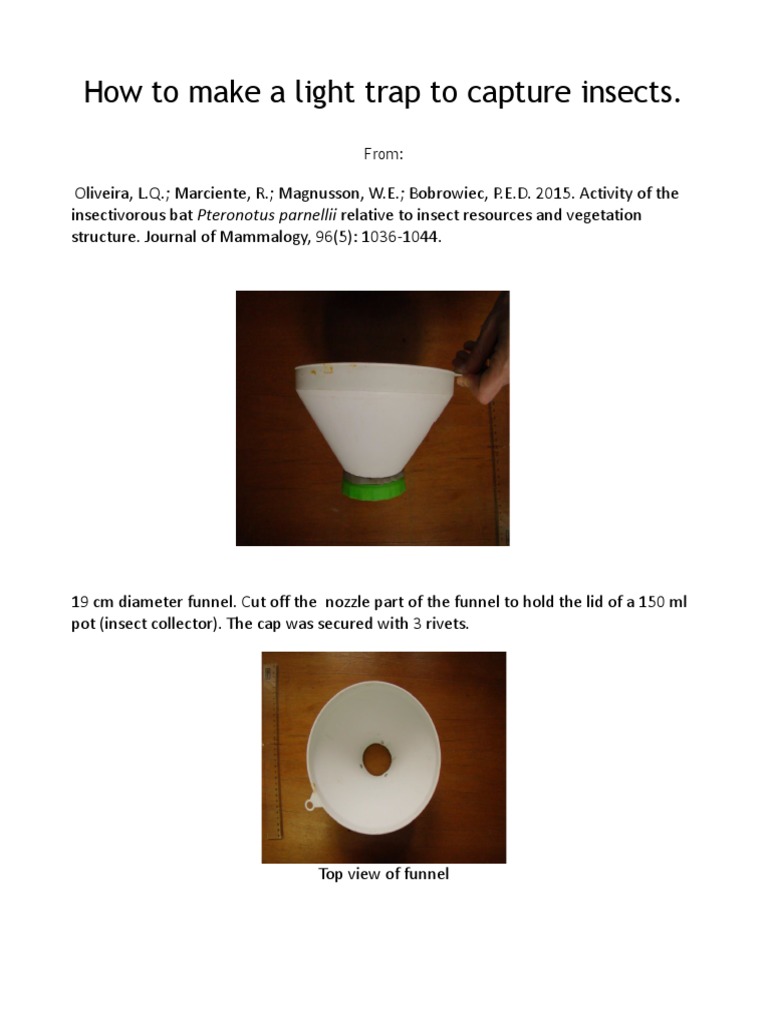 DIY Insect Light Trap Guide | PDF