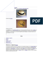 Sombrero