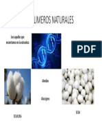 Polimeros Naturales