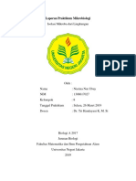 Laporan Praktikum Mikrobiologi Isolasi