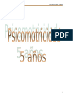 112371038-psicomotricidad-5-anos.pdf