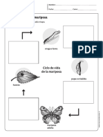 CICLO DE VIDA.pdf