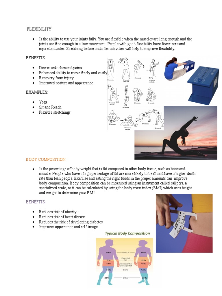 Body Composition Benefits PDF Flexibility (Anatomy) Muscle