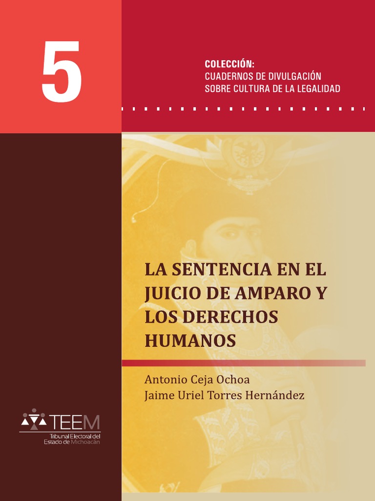 La Sentencia en El Juicio de Amparo y Los Derechos Humanos PDF | PDF ...
