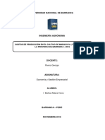 Costos de Produccion Del Cultivo de Mara