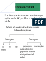 Sistema Tónico Postural 