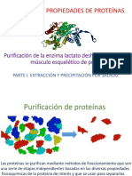 purificacion-salado.pdf
