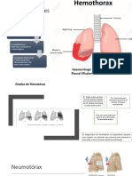 FIsiopatologia Imageno (Autosaved)