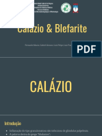Calázio e Blefarite