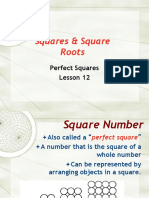 Perfect Squares and Square Root Fundamentals
