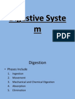 Digestive System PPT(1)