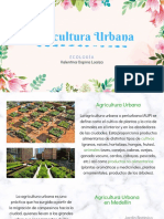 Agricultura Urbana