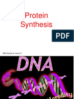 Protein Synthesis: With Thanks To Jenny P