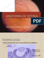 Anatomia-Retina
