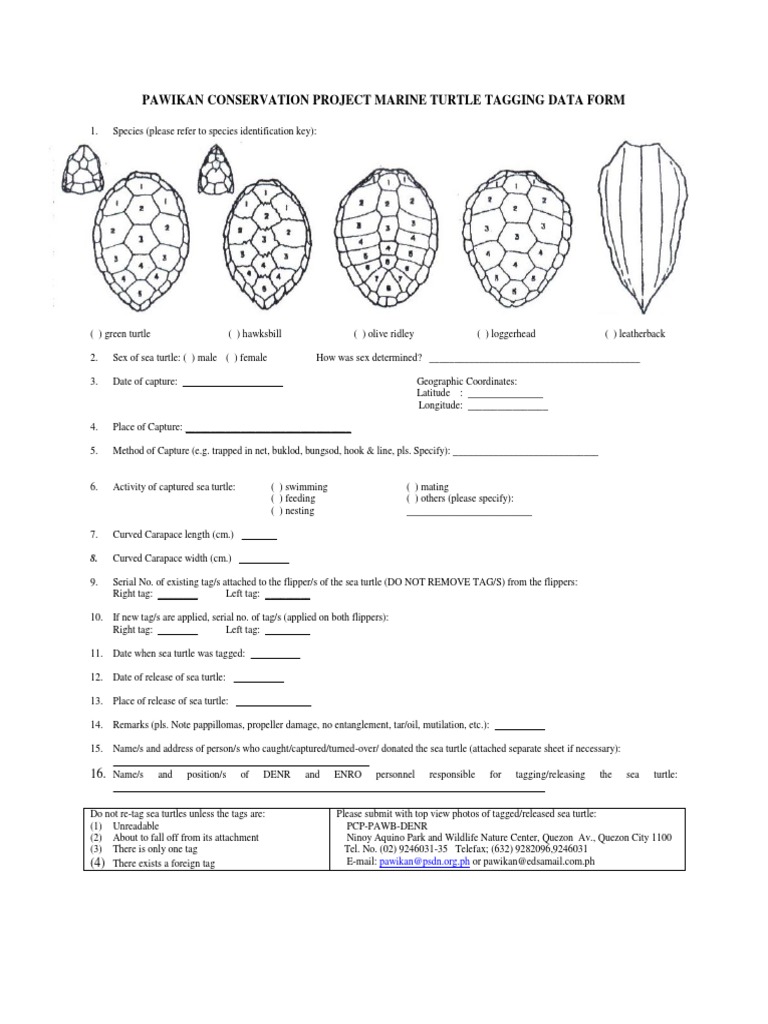 Sea Turtle Tagging Data Form | PDF | Sea Turtle | Turtle