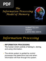 Information Processing Theory