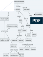 mapa conceptual.pptx