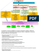 Mapa Conceptual