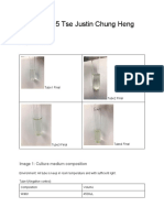 Lab Report 5 Tse Justin Chung Heng 20611518: Image of Culture