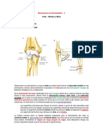 Biomecánica de Extremidades 4