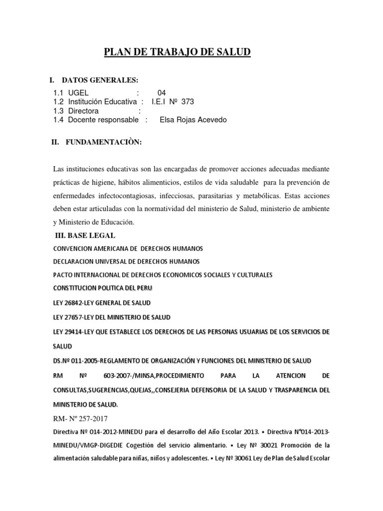 Total 102+ imagen modelo de plan de trabajo en salud