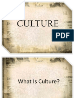 Culture Report Chapter 1