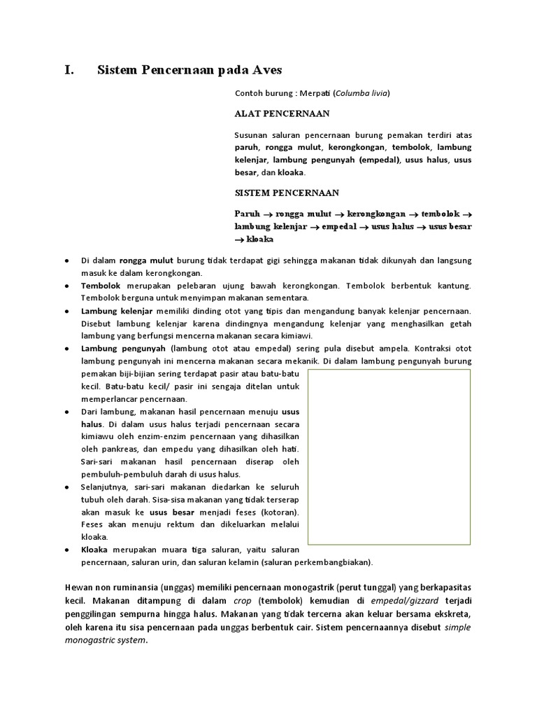 Sistem Pencernaan Aves Dan Ruminansia