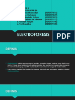 ELEKTROFORESIS ReaL