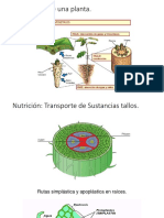 Estructuras de una planta.pptx