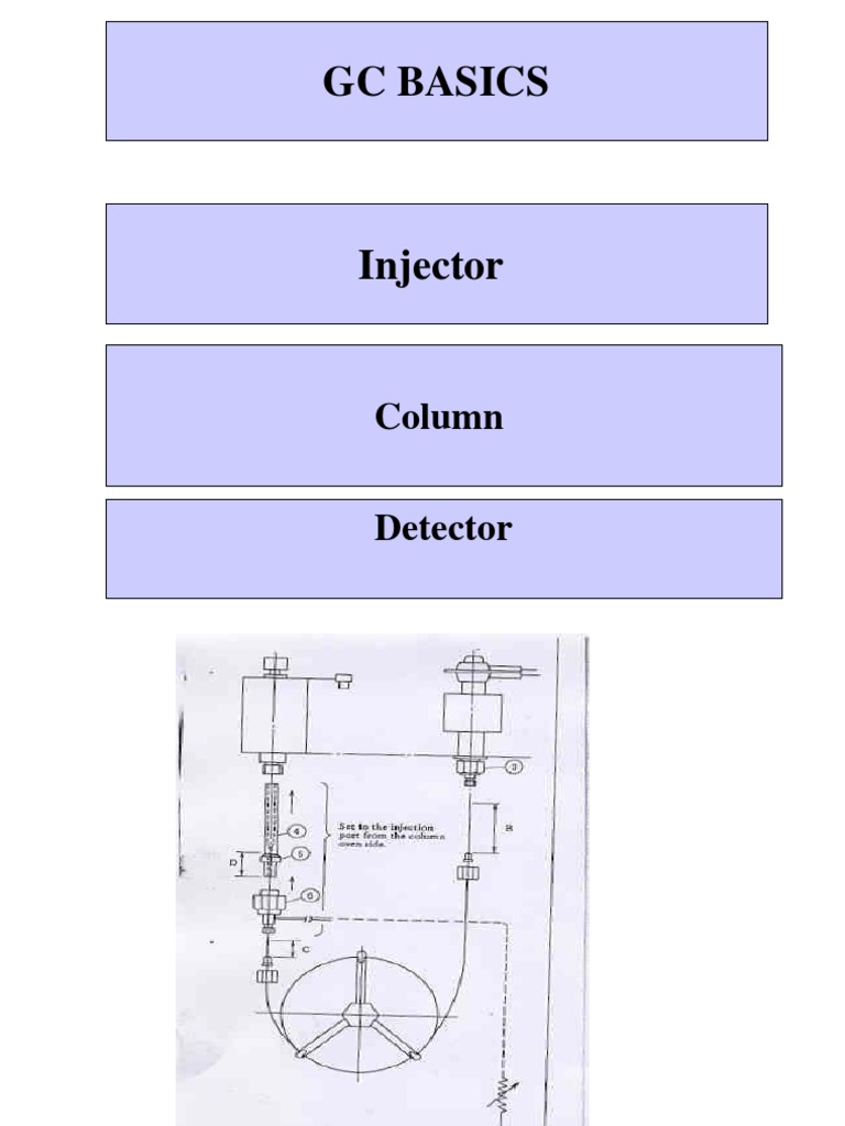 GC Basics: Injector and Detector Setup | PDF