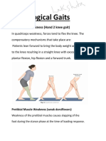 Pathological Gaits: Quadriceps Weakness (Hand 2 Knee Gait)
