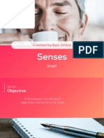 Topic 9 Senses