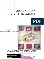Histologi Organ Genitalia Wanita