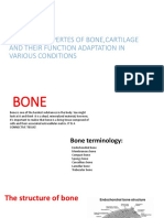 Physical Propertes of Bone, Cartilage and Their Function Adaptation in Various Conditions