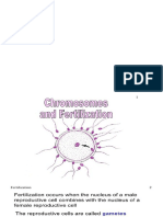 Chromosomes