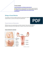 Understanding The Human Sexual Response